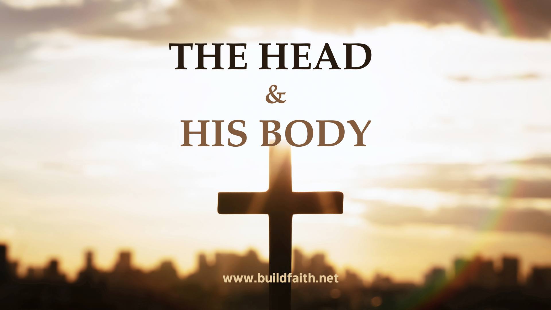 His Head, His Body